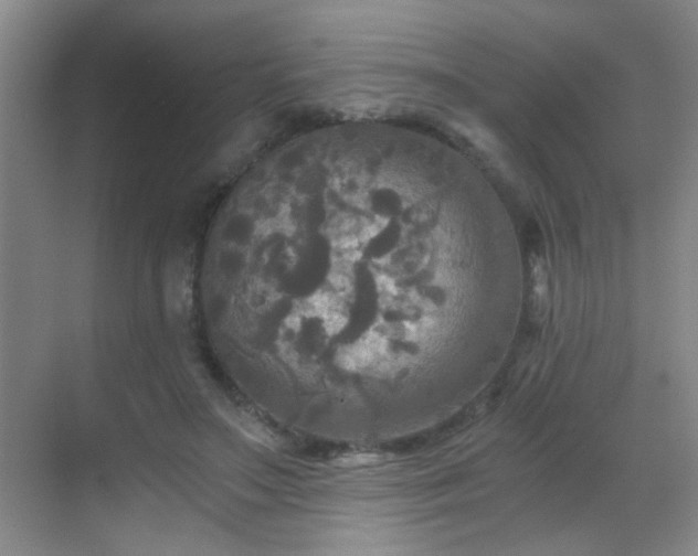 X0000069810499200605221208