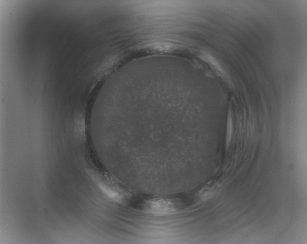 X0000069810500200605221208