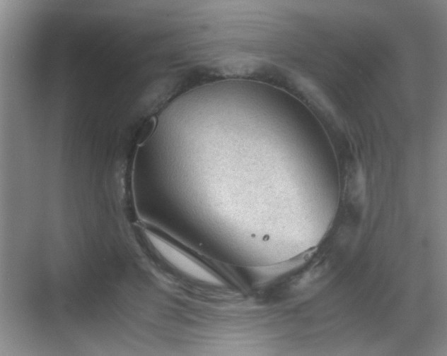 X0000069810501200605221208