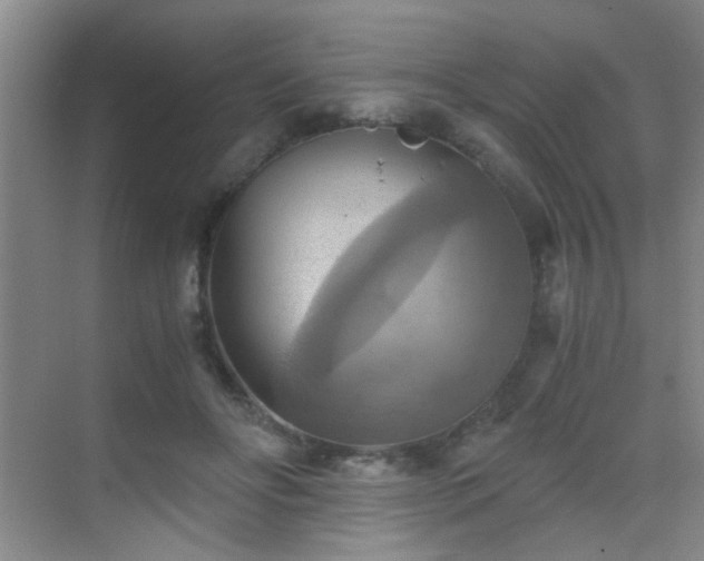 X0000069810502200605221208