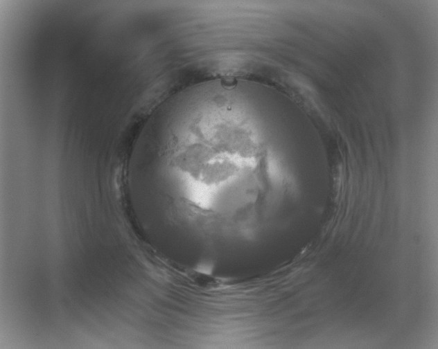 X0000069810503200605221208