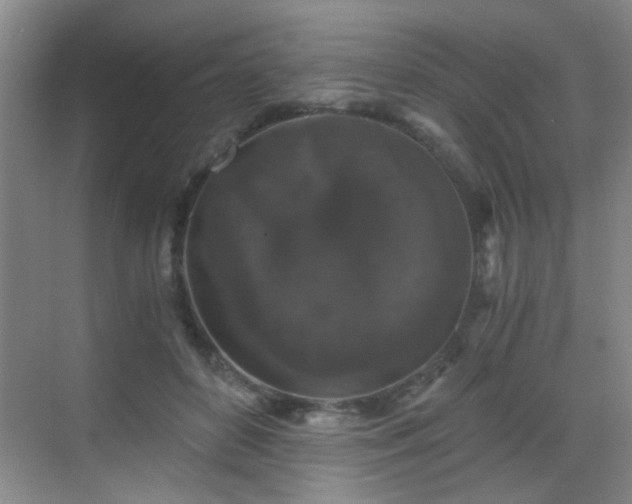 X0000069810504200605221208