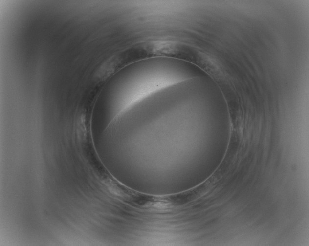 X0000069810506200605221208