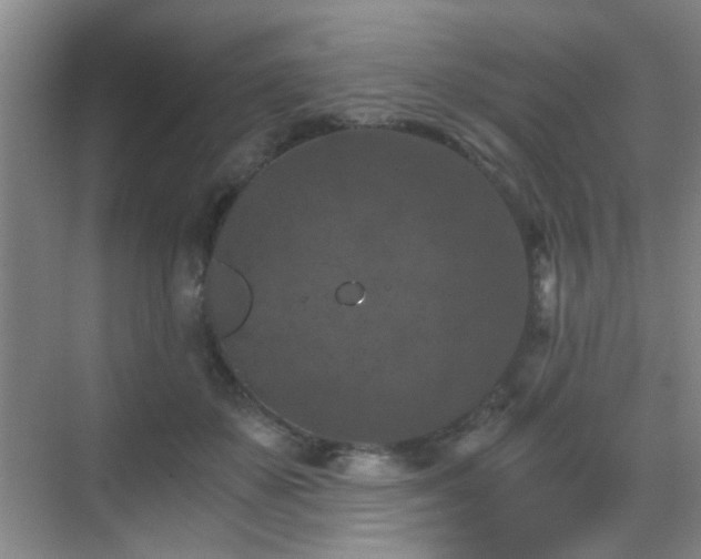 X0000069810507200605221208