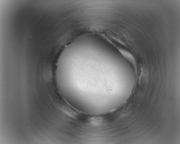 X0000069810508200605221208