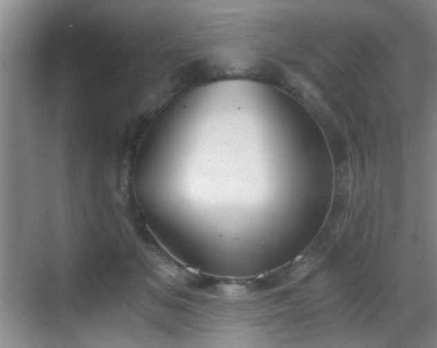 X0000069810509200605221208