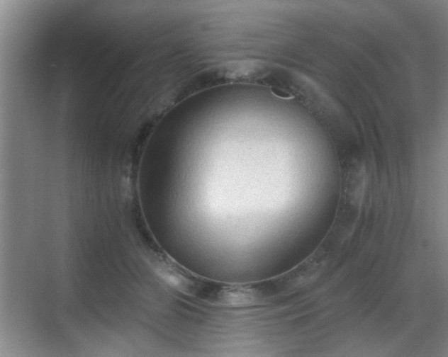 X0000069810510200605221208