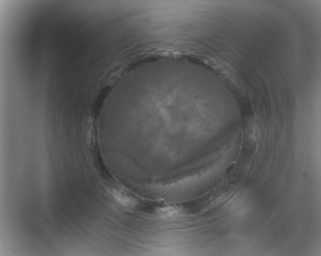 X0000069810511200605221208