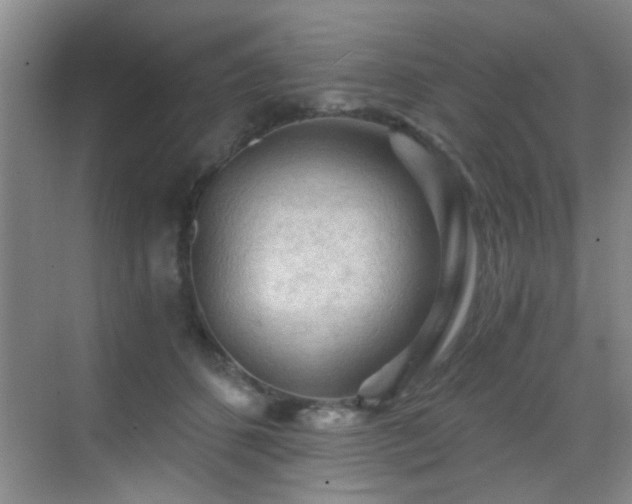 X0000069810512200605221208