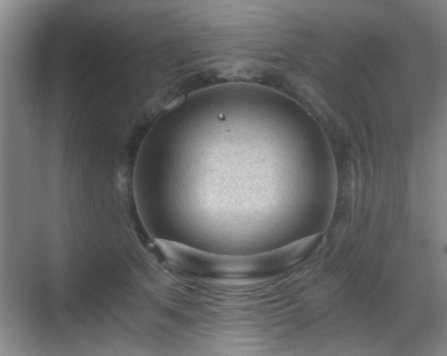 X0000069810513200605221207