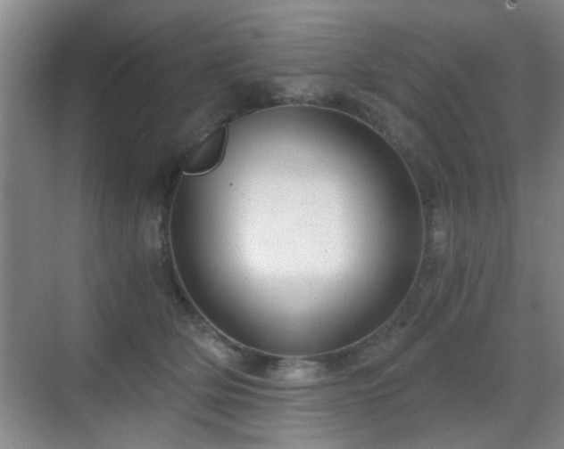 X0000069810514200605221207