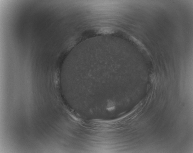 X0000069810517200605221207