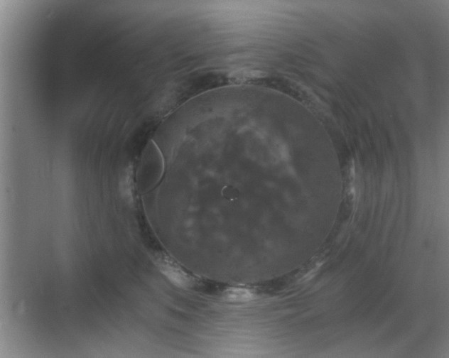 X0000069810519200605221207