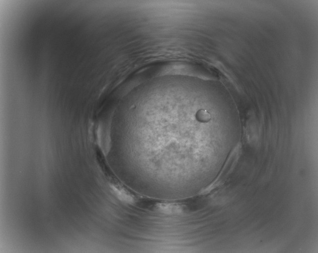 X0000069810520200605221207