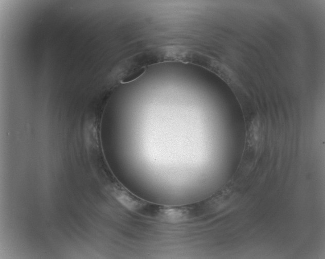 X0000069810522200605221207