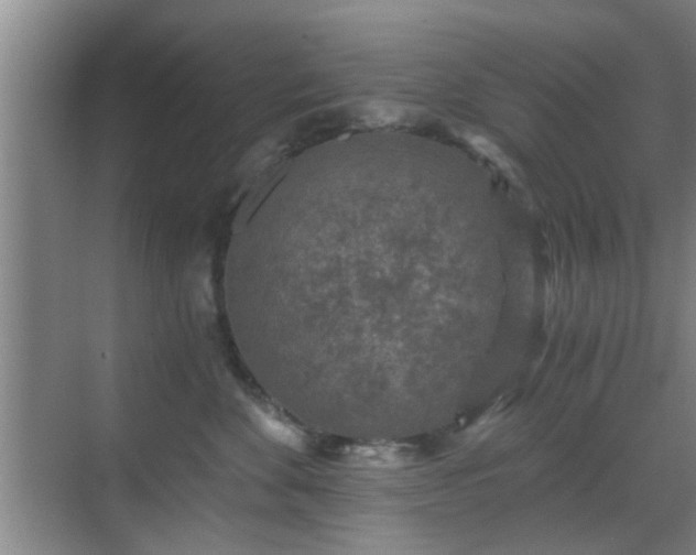 X0000069810524200605221207