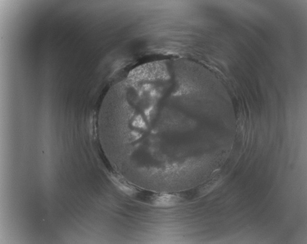 X0000069810527200605221207