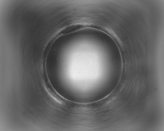 X0000069810533200605221206