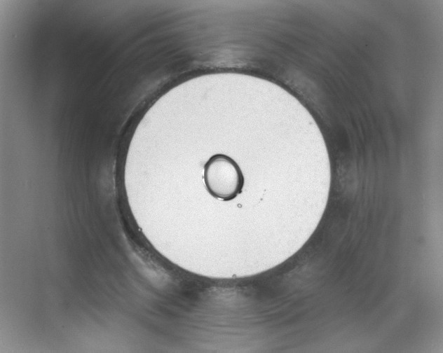 X0000069810534200605221206