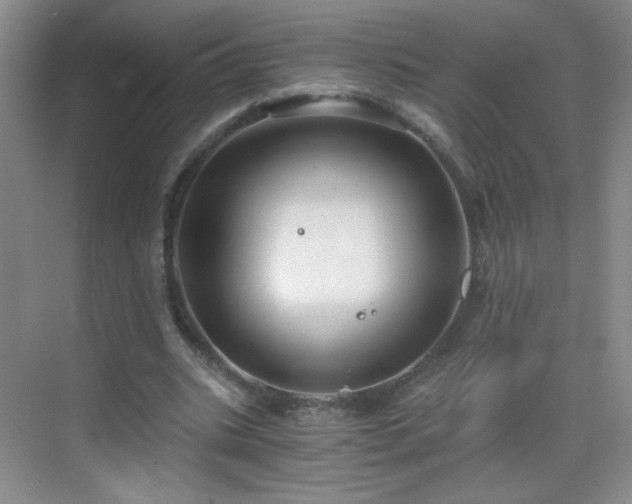 X0000069810535200605221207