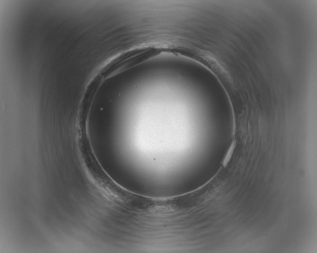 X0000069810536200605221207