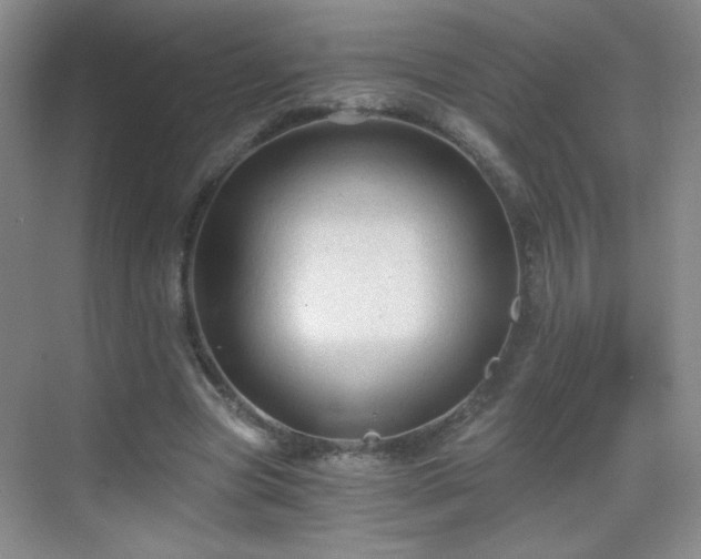 X0000069810537200605221207