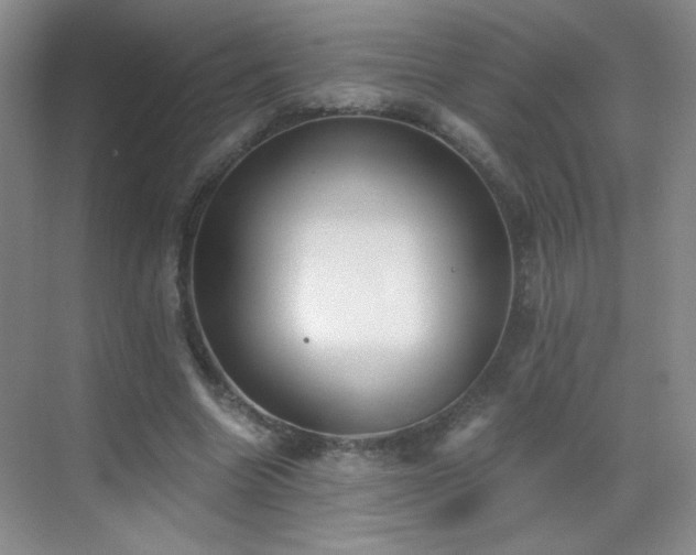 X0000069810538200605221207