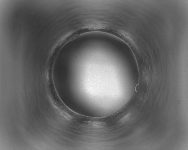 X0000069810539200605221207