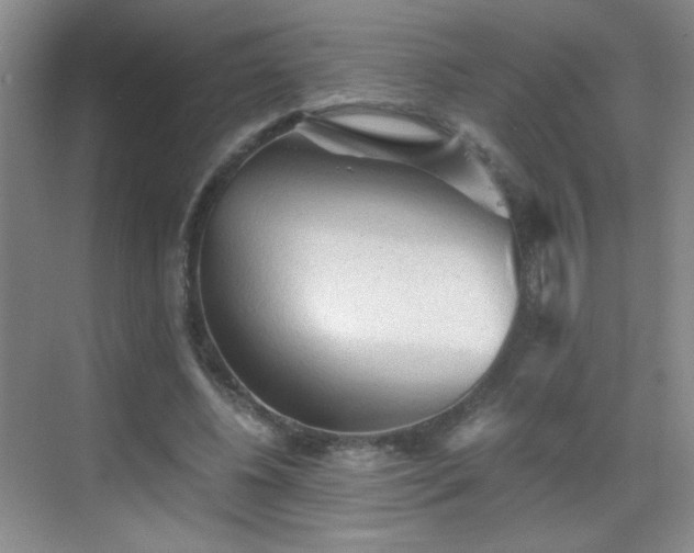 X0000069810540200605221207