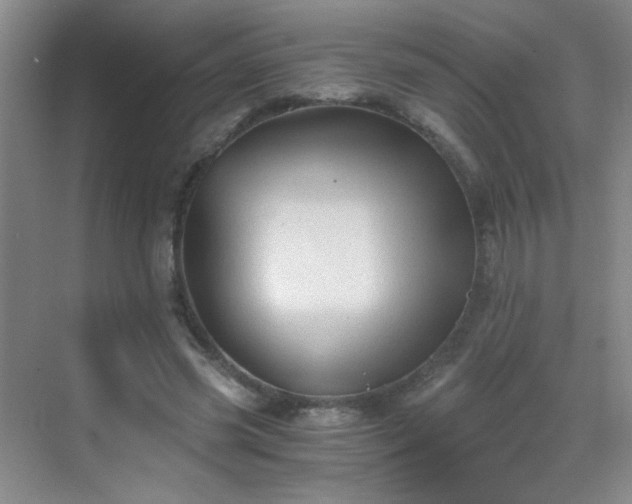 X0000069810541200605221207