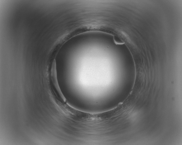 X0000069810543200605221207