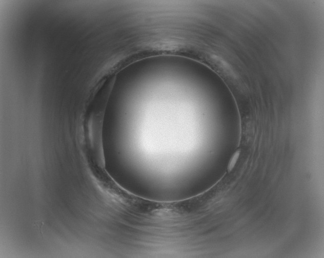 X0000069810544200605221207