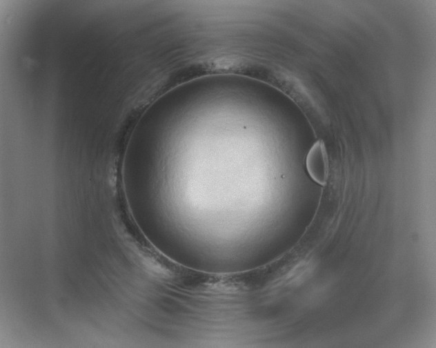 X0000069810545200605221207