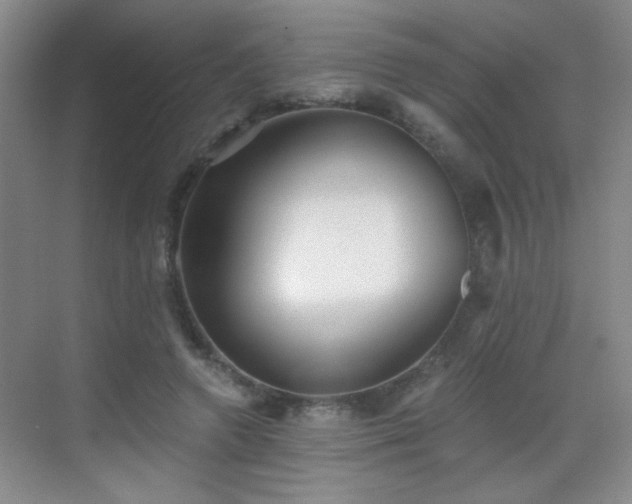 X0000069810546200605221207