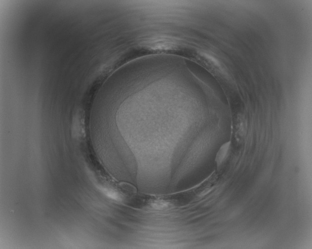 X0000069810547200605221207