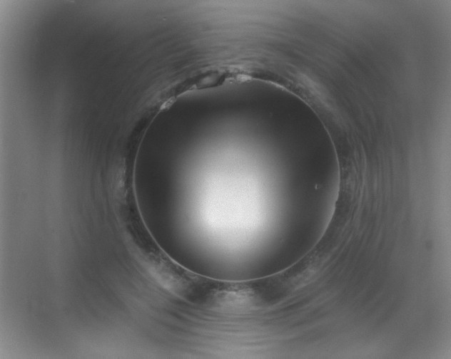 X0000069810548200605221207