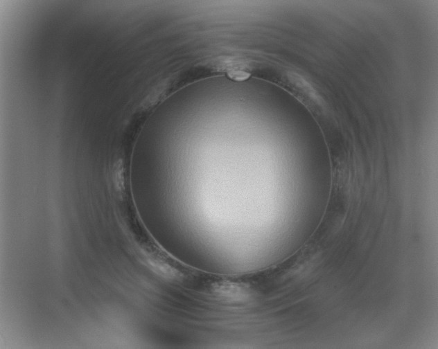 X0000069810549200605221207