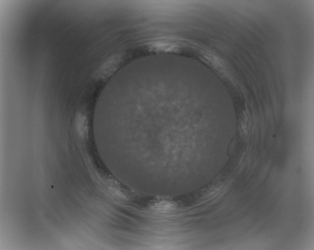 X0000069810551200605221207