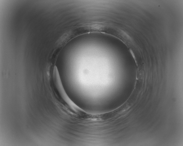 X0000069810552200605221207