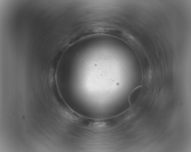 X0000069810554200605221207