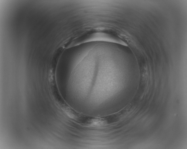 X0000069810555200605221207