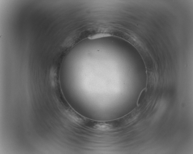 X0000069810557200605221207