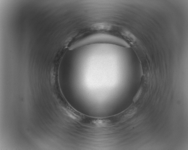 X0000069810558200605221207