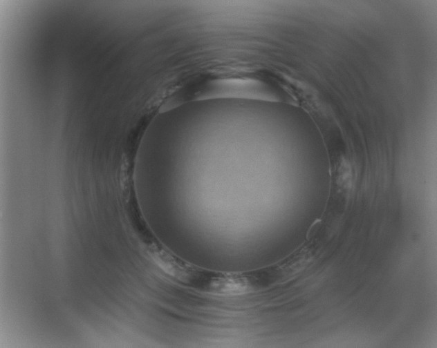 X0000069810559200605221207