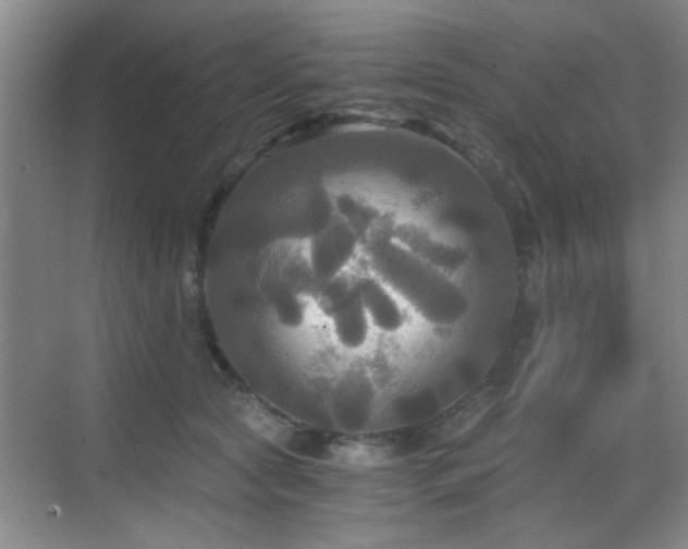 X0000069810561200605221207