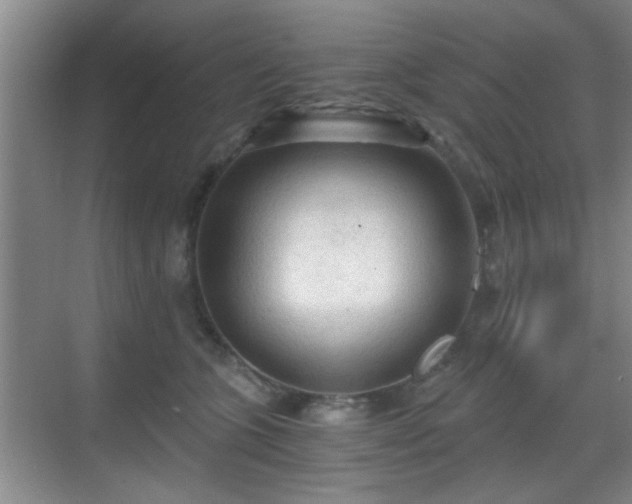 X0000069810563200605221207