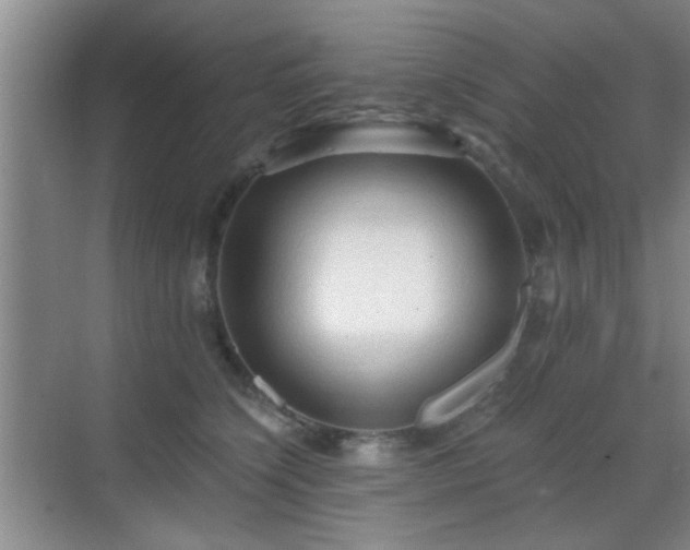 X0000069810564200605221207