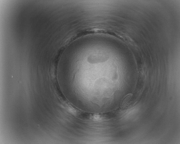 X0000069810565200605221207