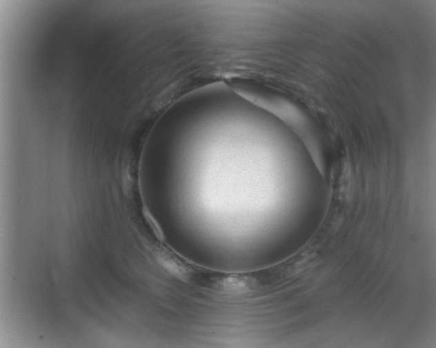 X0000069810566200605221207