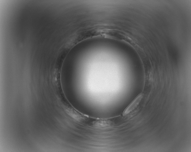 X0000069810567200605221207